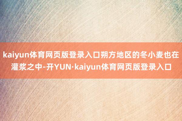 kaiyun体育网页版登录入口朔方地区的冬小麦也在灌浆之中-开YUN·kaiyun体育网页版登录入口