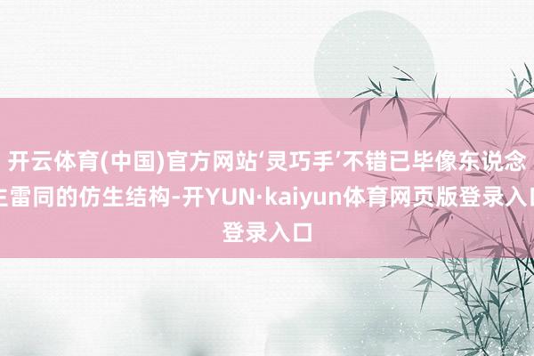 开云体育(中国)官方网站‘灵巧手’不错已毕像东说念主雷同的仿生结构-开YUN·kaiyun体育网页版登录入口
